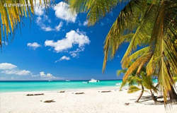 海南推出33條暑期精品旅游線